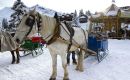 Station piétonne immergée dans la neige